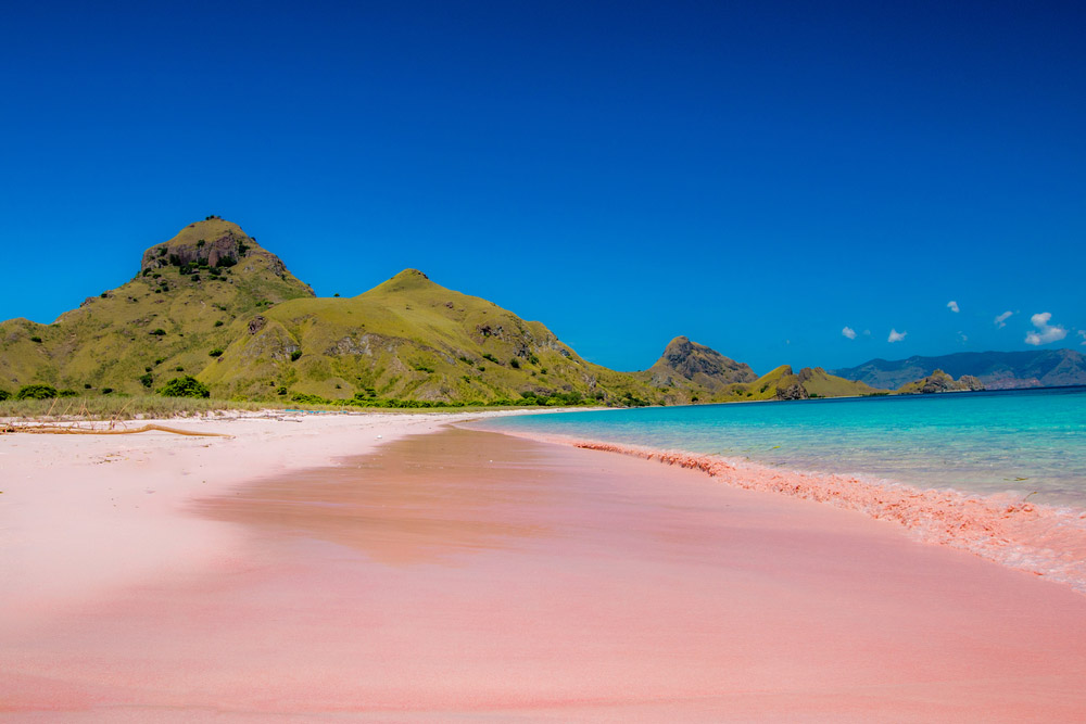 Komodo Indonesia