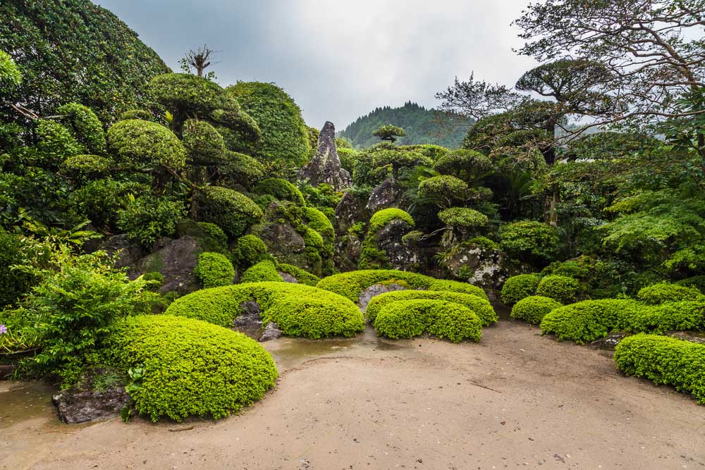 Kagoshima