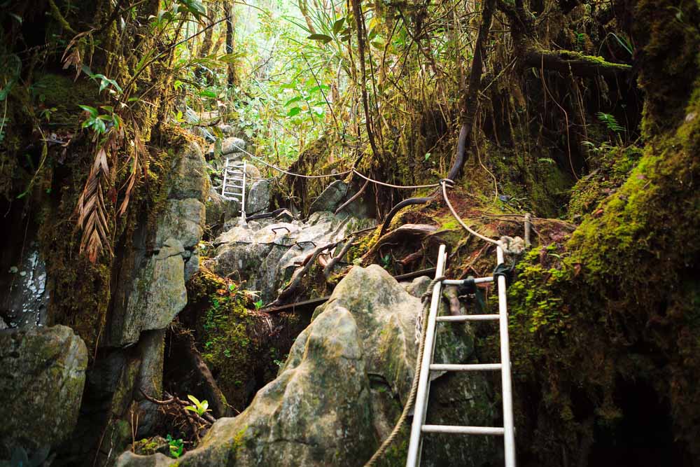 El Parque Nacional de Gunung Mulu en Borneo | Mochileando Por Asia