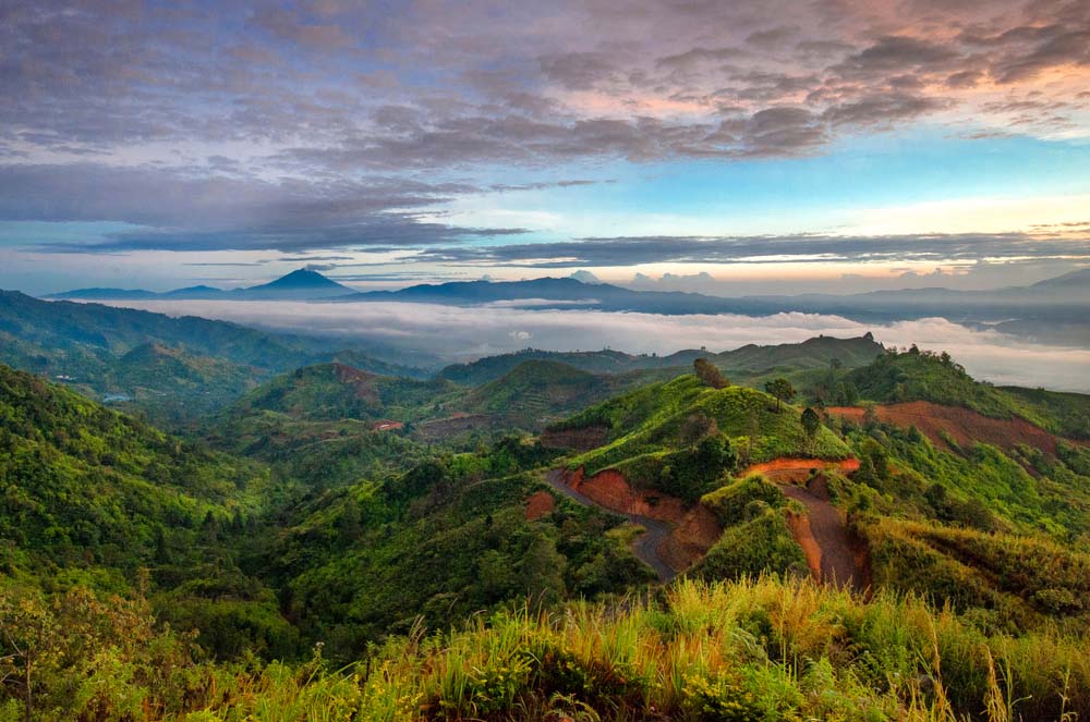 travel bengkulu sungai penuh